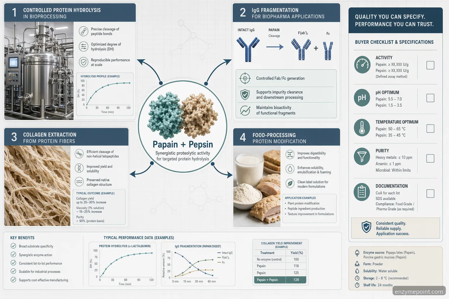application of papain and pepsin enzyme igg sourcing guide infographic with hydrolysis, IgG fragmentation, collagen, QC icons