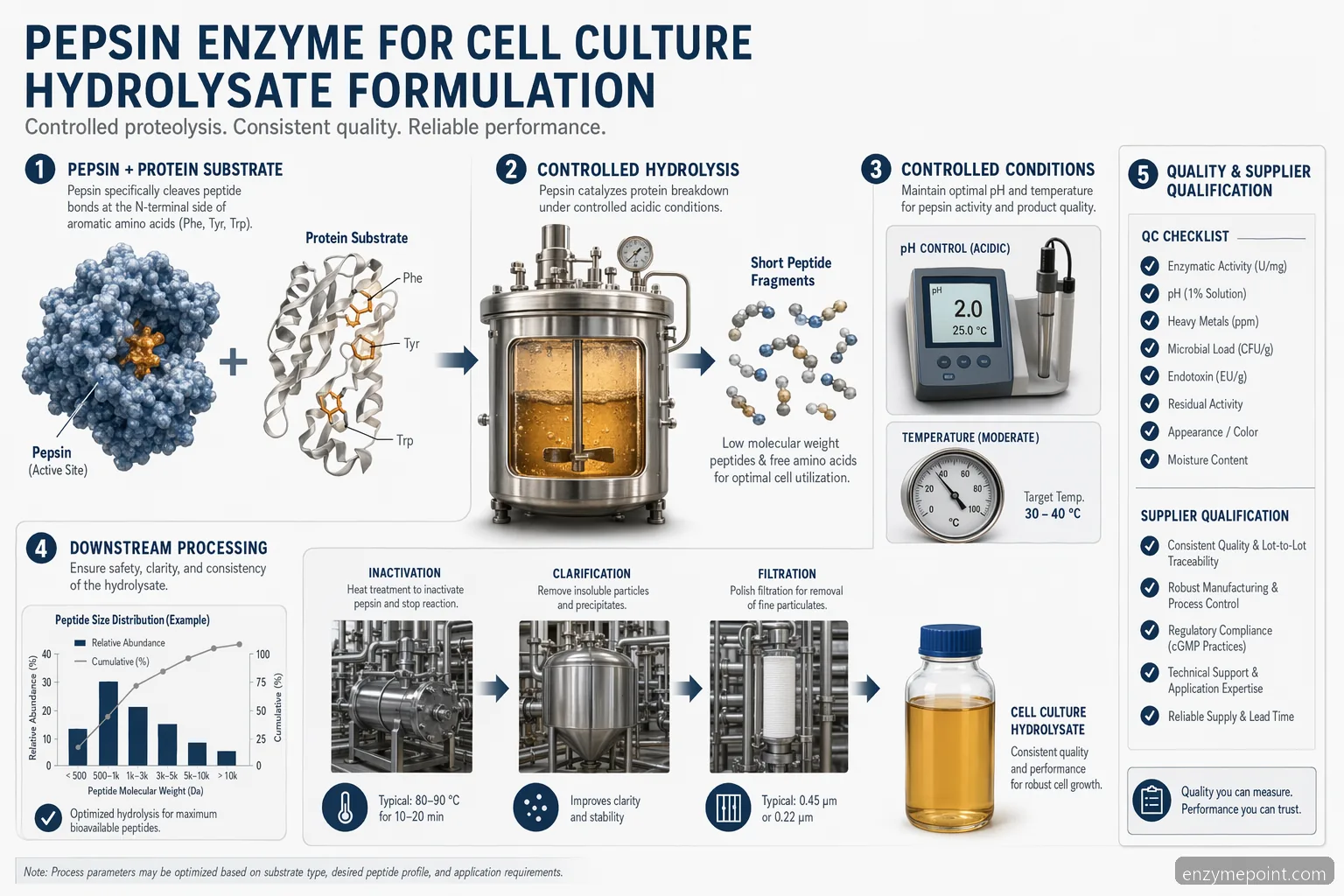 pepsin enzyme for cell culture guide showing hydrolysate workflow, pH control, QC checks, and supplier qualification