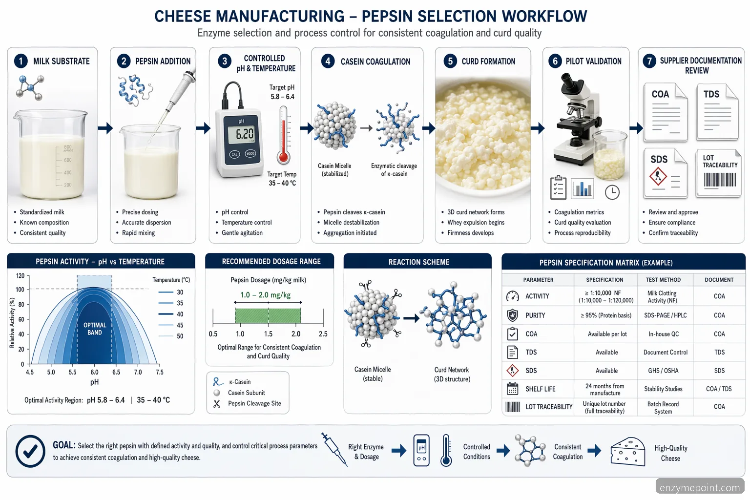 pepsin enzyme for cheese purchase process diagram with pH, temperature, dosage, validation, and supplier criteria